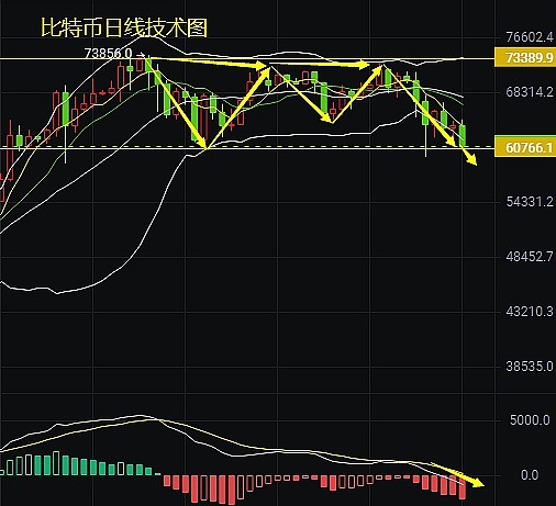 神秘的鲸鱼玩家在搞什么？