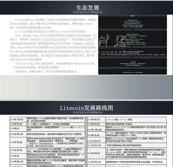 从加密极客到火人节信徒：一场关于另类社会的深度朝圣之旅