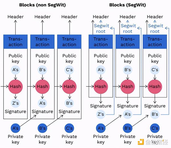 财经快报：马斯克财富缩水记 & Web3最新动态一览